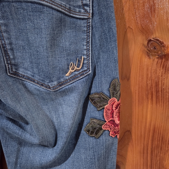 Express Blue Jeans with Red Floral Embroidery - Picture 6 of 9